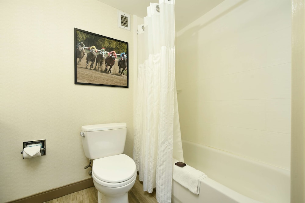 Hilton Garden Inn Saratoga Springs - photo 36