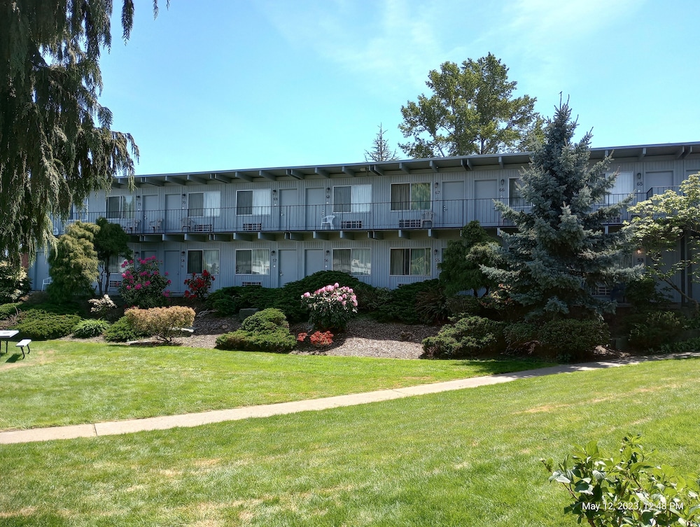 Cocusa Motel - photo 140