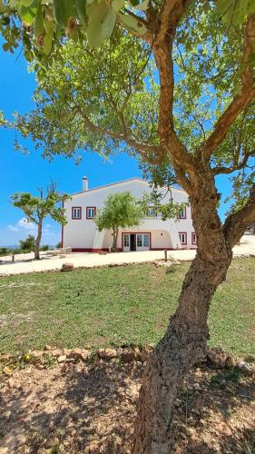 Monte da Silveira in Sao Teotonio, Portugal