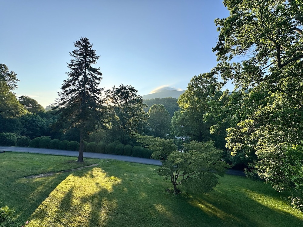 Balsam Mountain Inn - photo 31