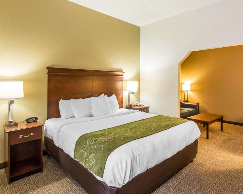 Comfort Suites Cookeville - photo 29