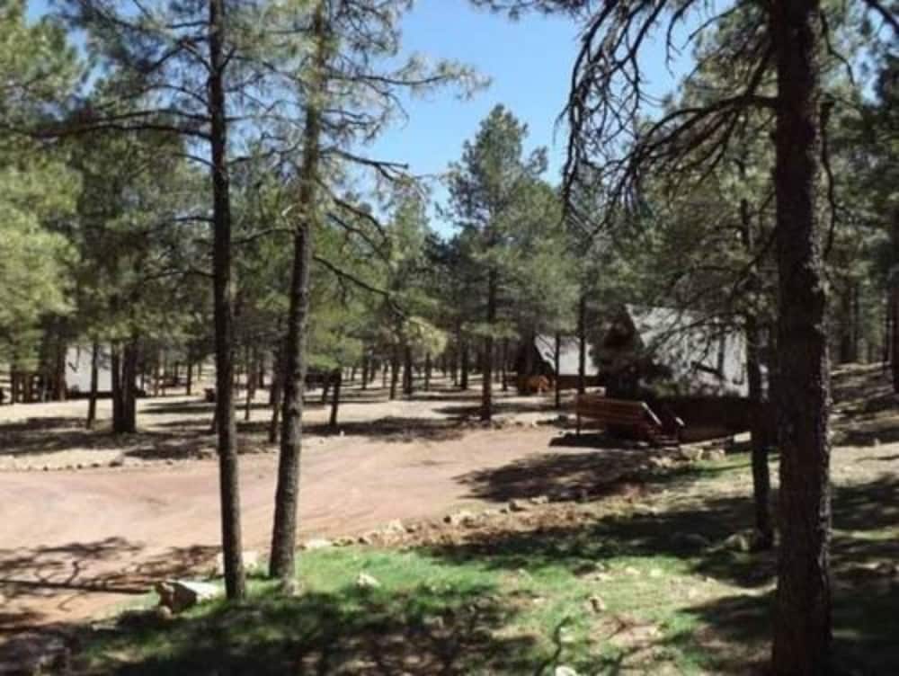 Arizona Mountain Inn and Cabins - photo 69