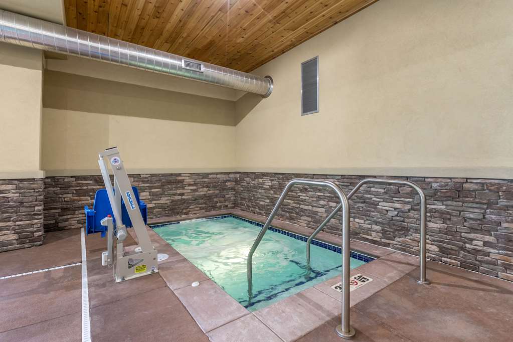 Comfort Inn & Suites Cedar Rapids CID Eastern Iowa Airport - photo 39