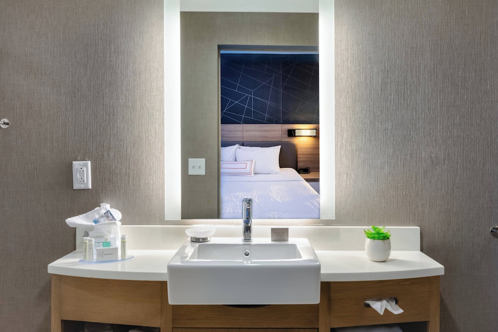 SpringHill Suites by Marriott Chattanooga South Ringgold GA - photo 8