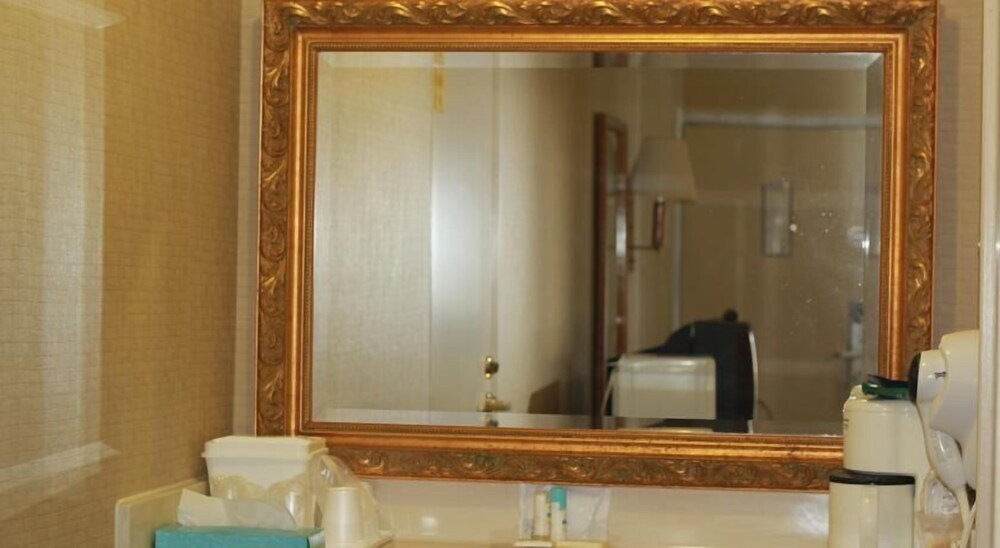 Palmetto Inn Florence - photo 6