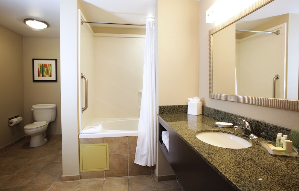 Holiday Inn Phoenix Chandler by IHG - photo 42