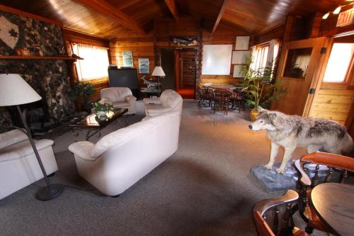 Dalton Trail Lodge — Haines Junction — photo 5