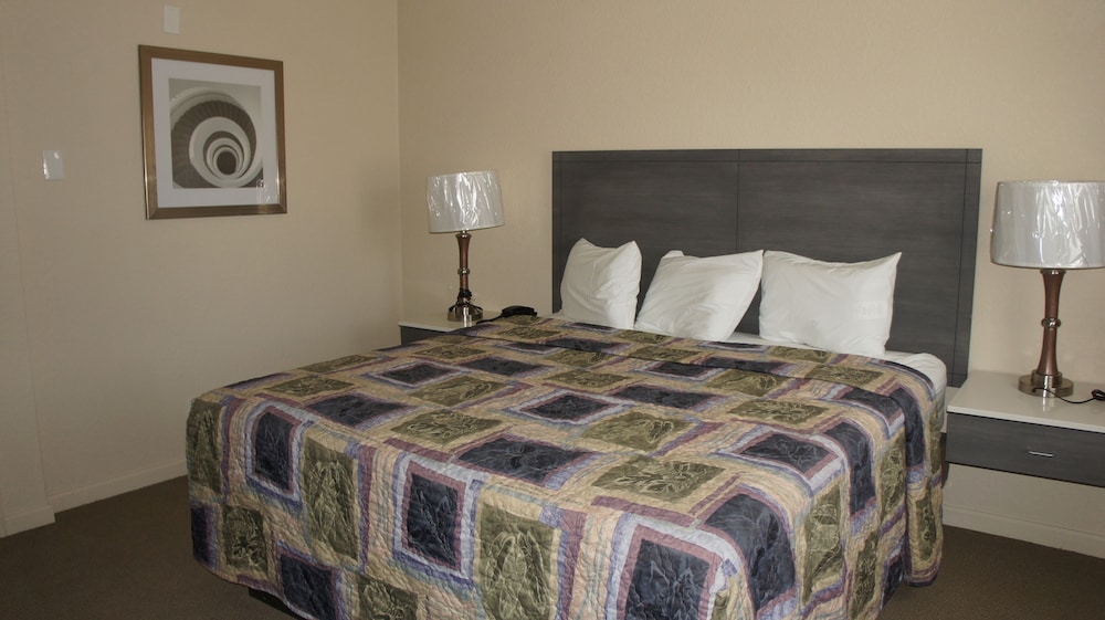 Apple Valley Hotel & Lodge - photo 8