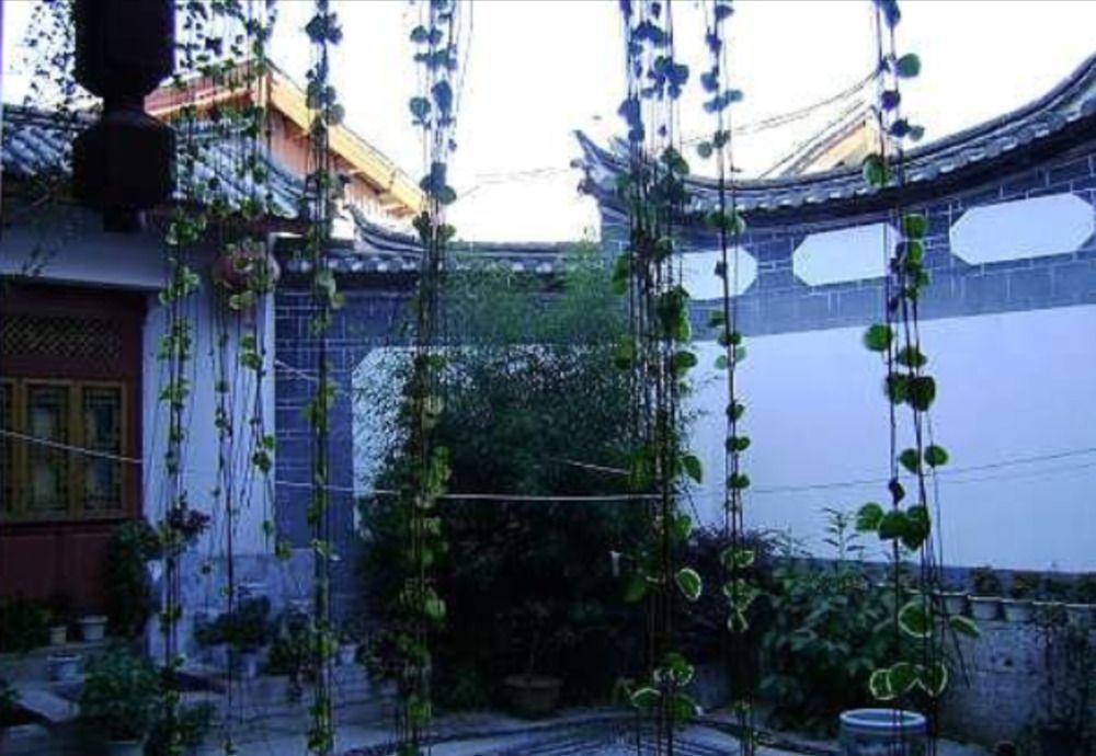 Wolong Inn - carbon neutral hotel in Lijiang