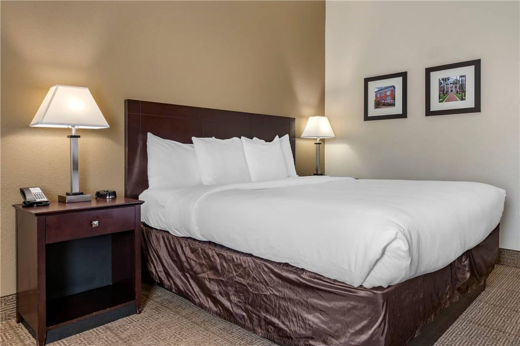 Comfort Inn & Suites DeLand near University - photo 13