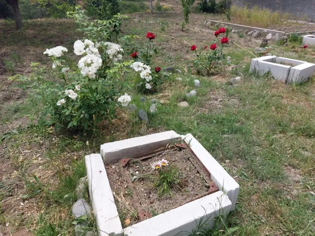 Green House In Vazisubani