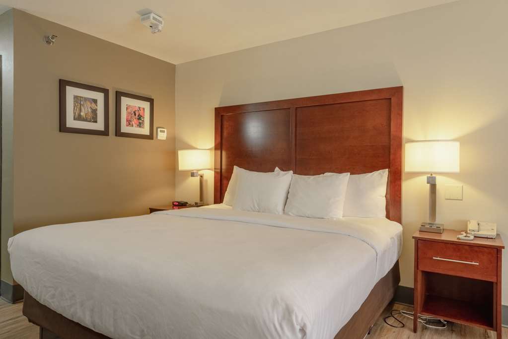 Comfort Inn & Suites Alamosa - photo 28