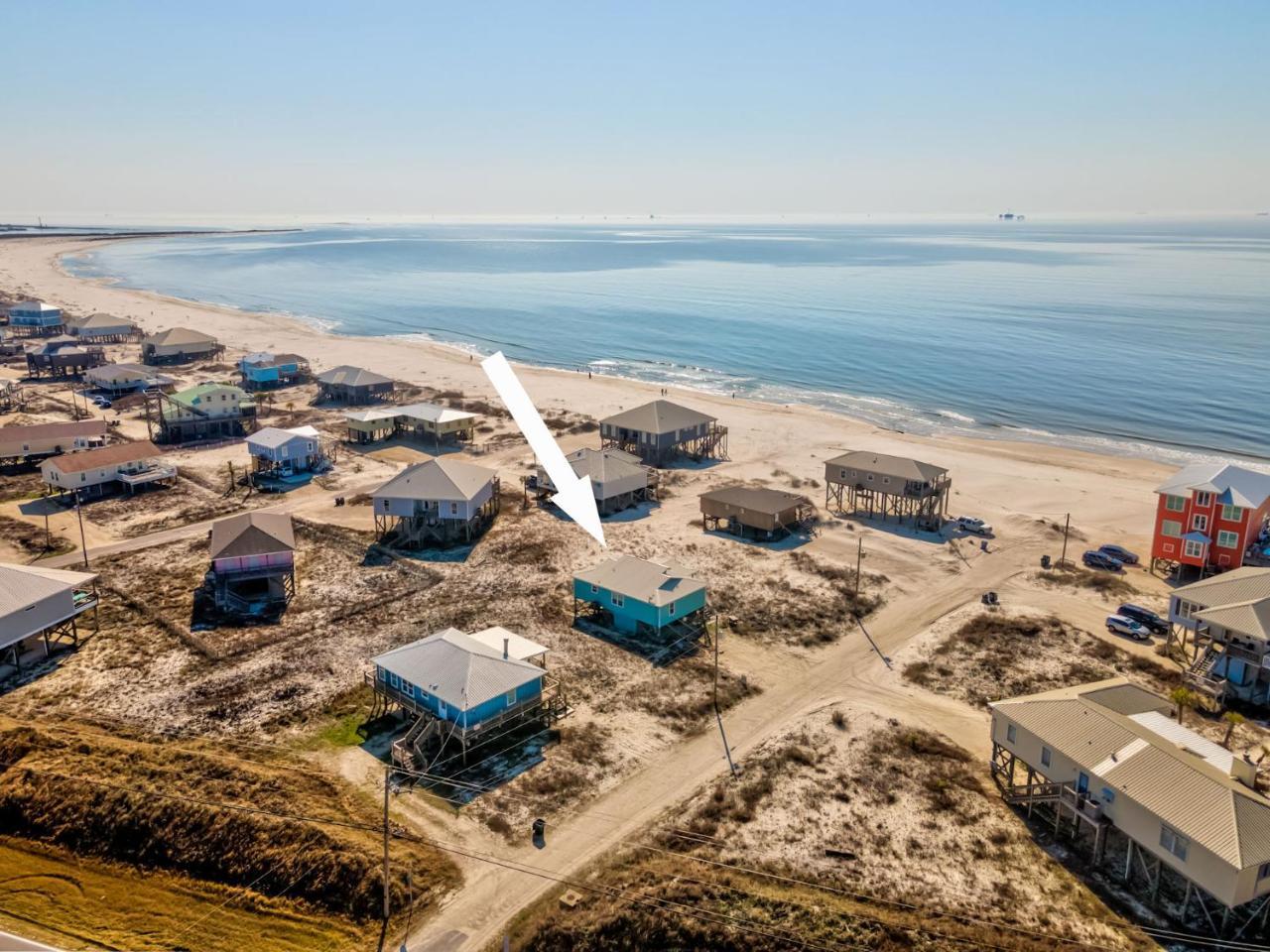 Sea Friends — Dauphin Island