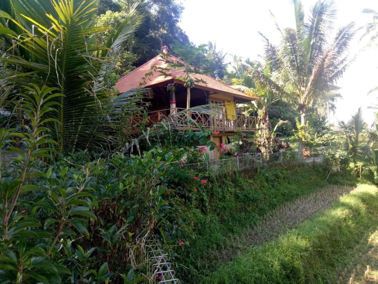 Babahan Farmstay in Tabanan, Indonesia