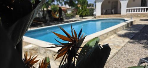 Riumar Cologne 300m to beach private pool On Site Service dog beach in Deltebre, Spain