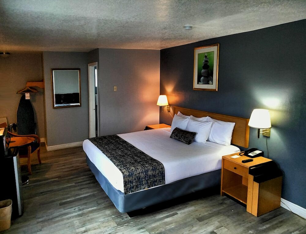The Metropolitan Inn - photo 7