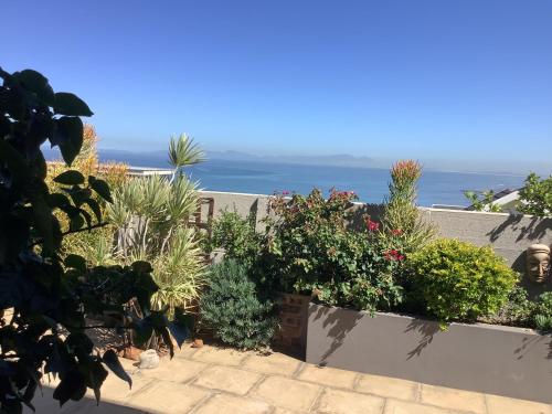 Cozy Garden apartment with amazing view — 4-Star Luxury Hotel in Cape Town, South Africa