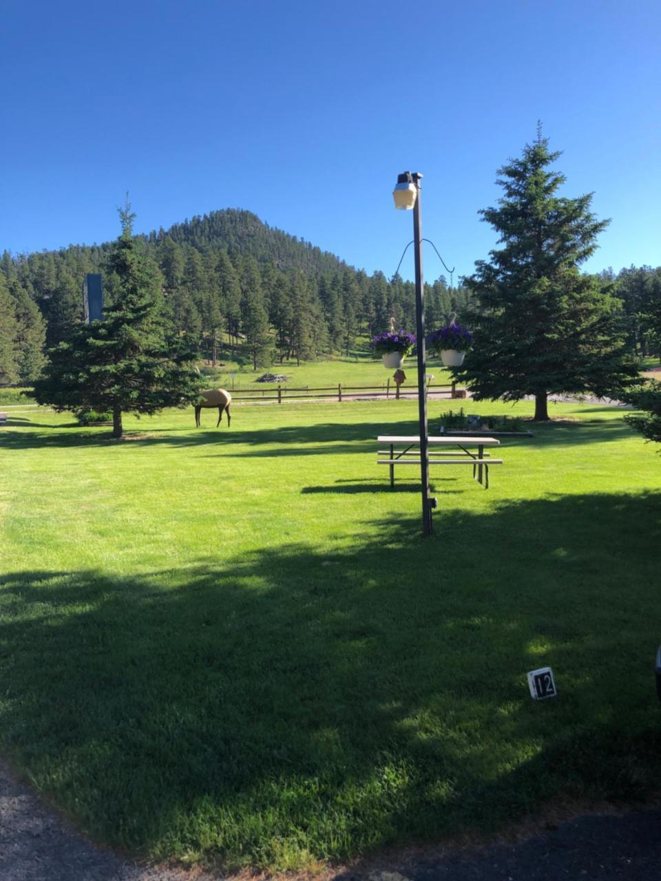 Springcreek Inn - photo 18