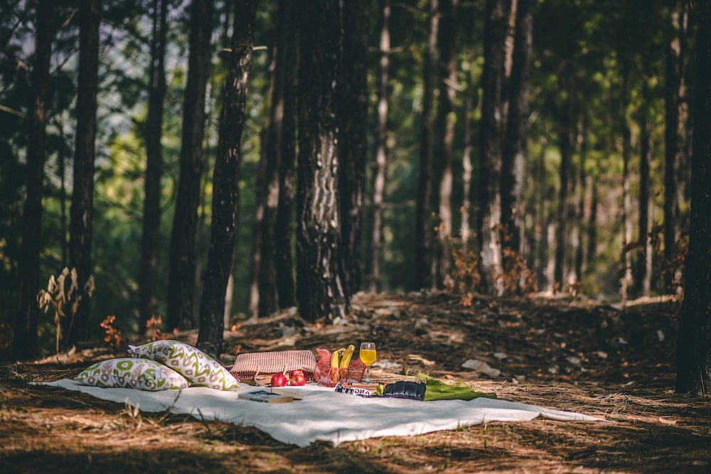 Seclude Lansdowne Uttarakhand — 4-Star Luxury Hotel in Lansdowne, India