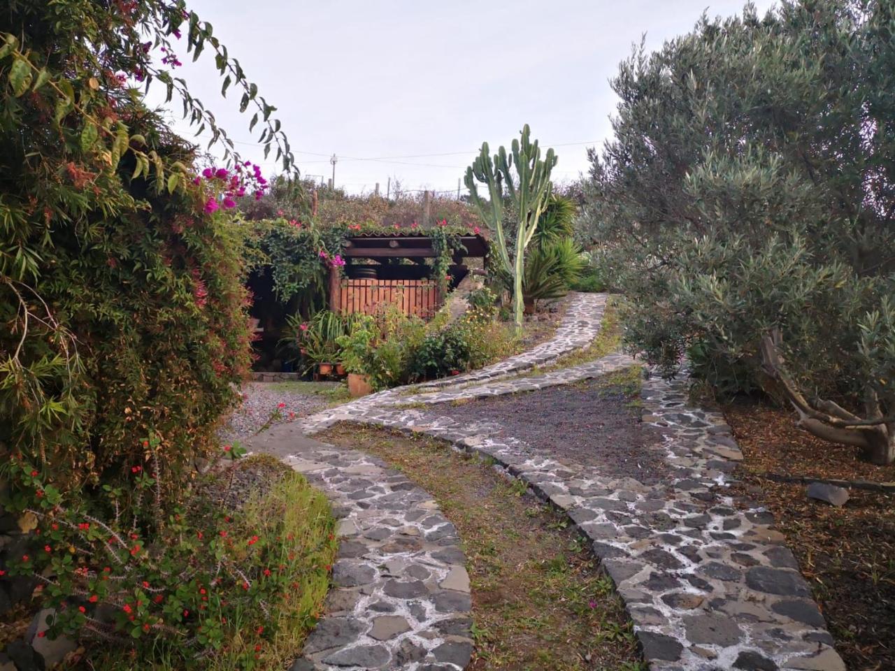 Finca Alda — Los Llanos De Aridane — photo 4