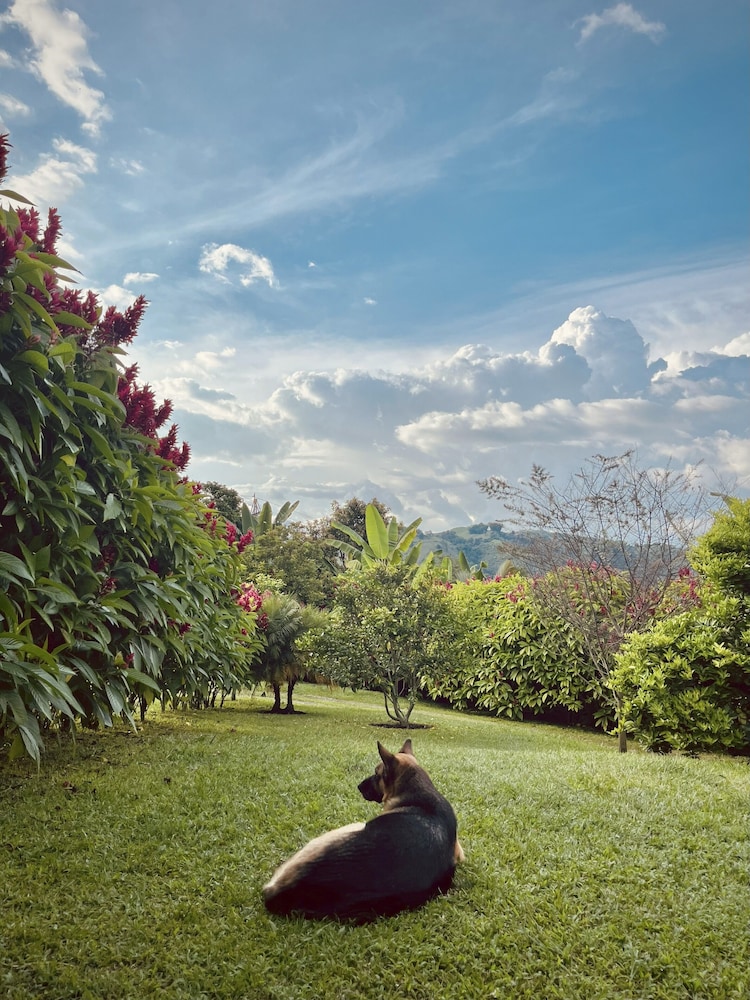 Chamí Glamping in Manizales, Colombia