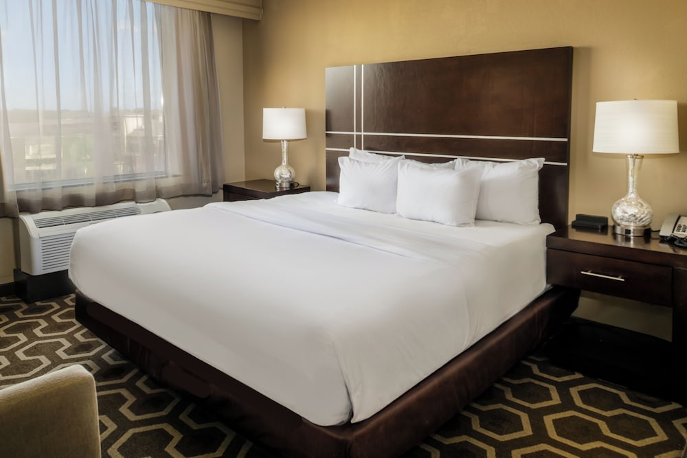 Embassy Suites by Hilton St. Louis Airport - photo 24