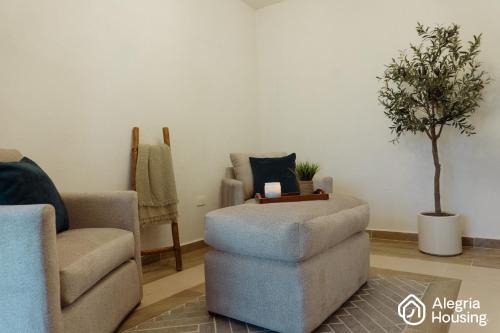 102 Arje Suites Campestre by Alegría Housing — Las Pilas — photo 2