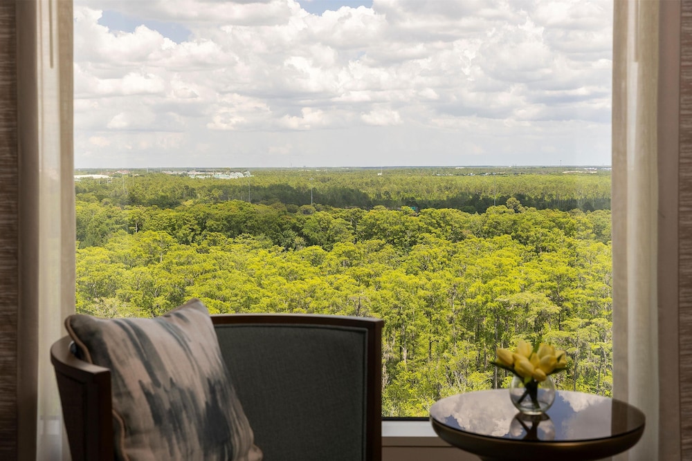 Waldorf Astoria Orlando An Official Walt Disney World Hotel - photo 50