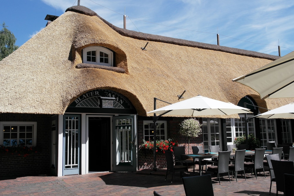 Hotel Blauer Fasan — hotel in Wiesmoor