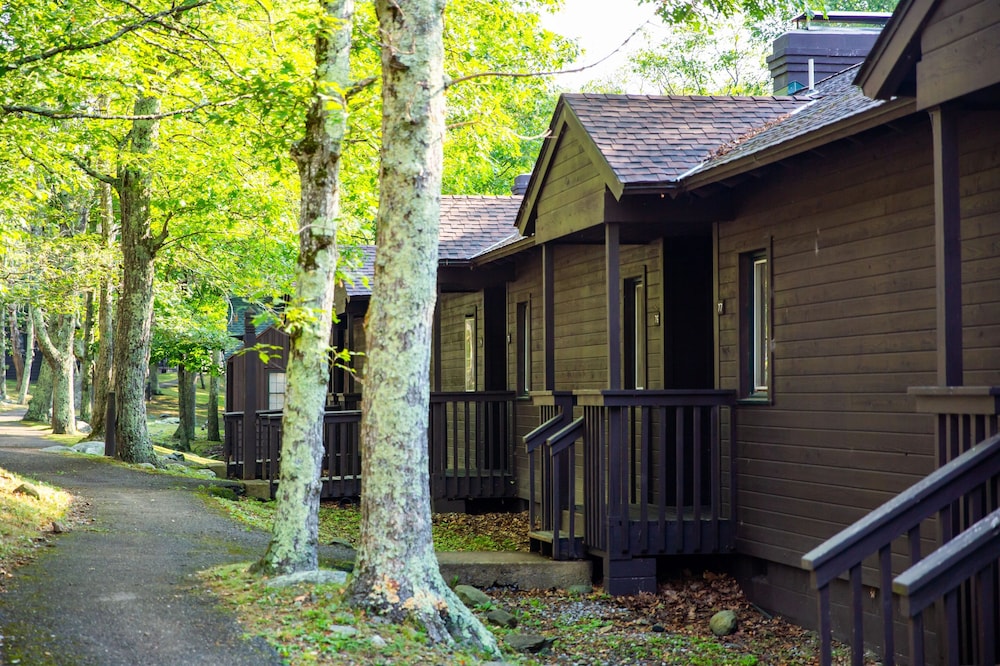 Big Meadows Lodge - photo 10