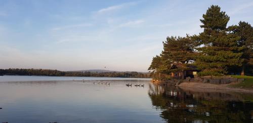 Keer lodge Pine Lake Resort — Carnforth — photo 4