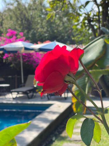 Hotel Quinta Real Las Palmas Malinalco in Malinalco, Mexico