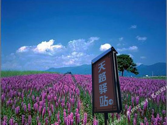 Xinaili Tianluyizhan — Zhangbei