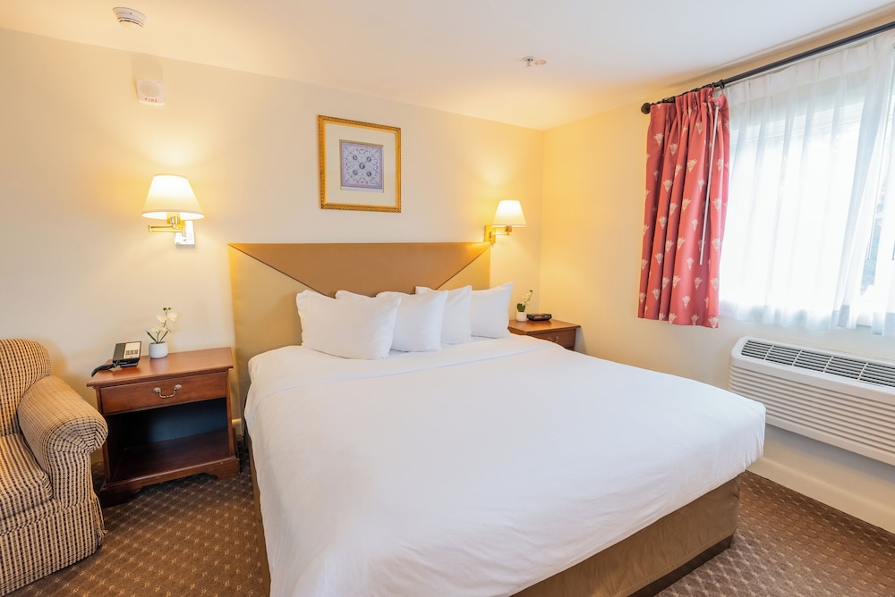 Senator Inn & Spa - photo 53