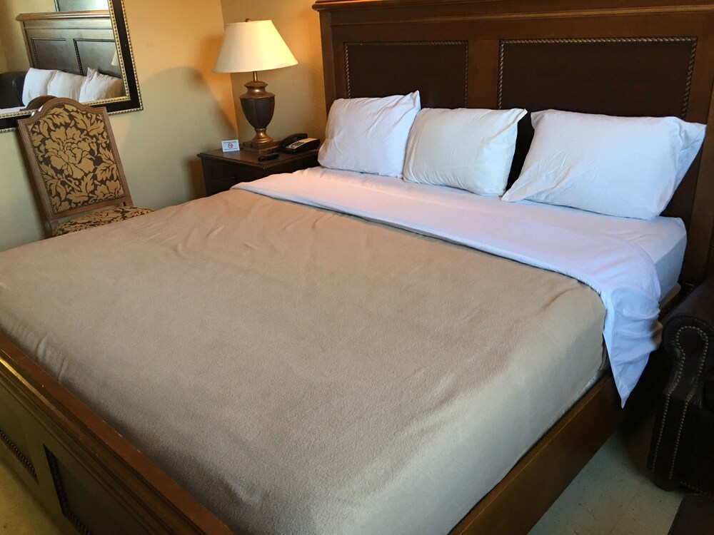 Reddy Inn and Suites - photo 22