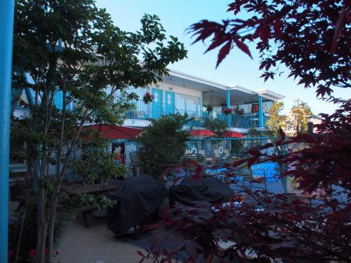 Suitcase Motel & Travel - photo 11