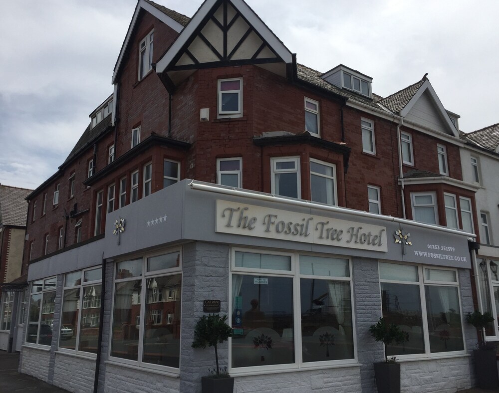 The Fossil Tree Hotel - last minute hotel in Blackpool