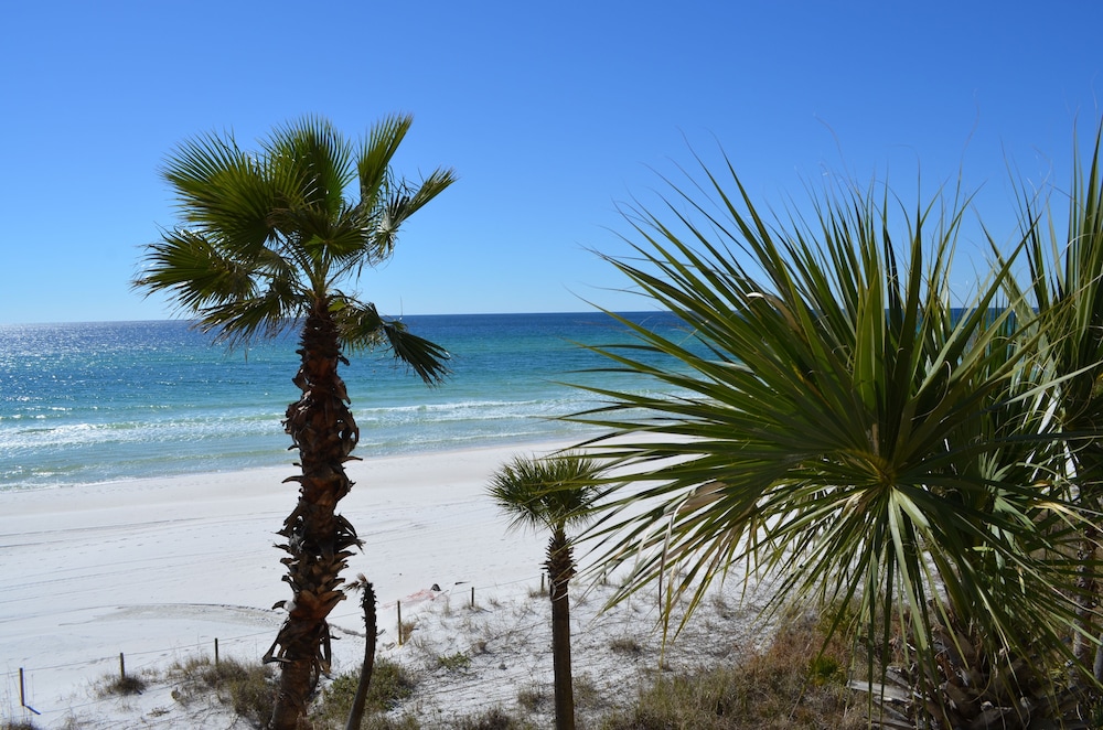 Days Inn by Wyndham Panama City Beach Beachfront Resort - photo 97
