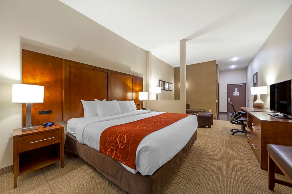 Comfort Suites La Vista Omaha - photo 21