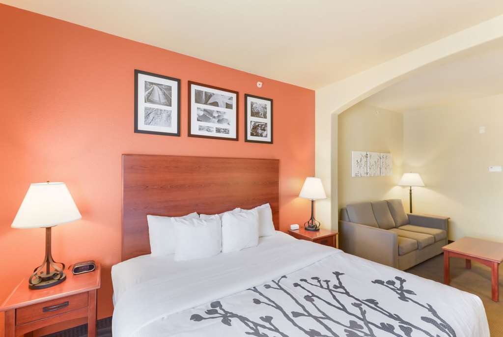 Sleep Inn & Suites Midland West - photo 27