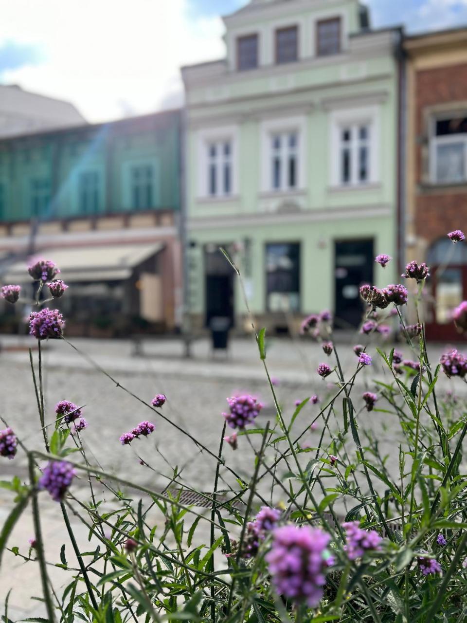 Apartament Rynek 17 — Krosno