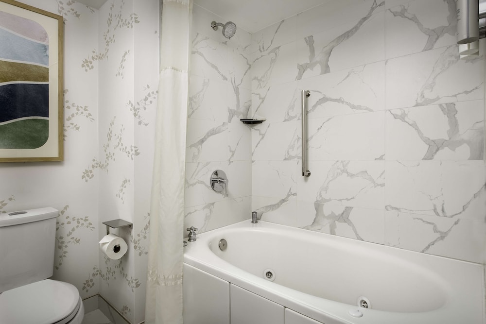 Embassy Suites by Hilton Dulles North Loudoun - photo 21