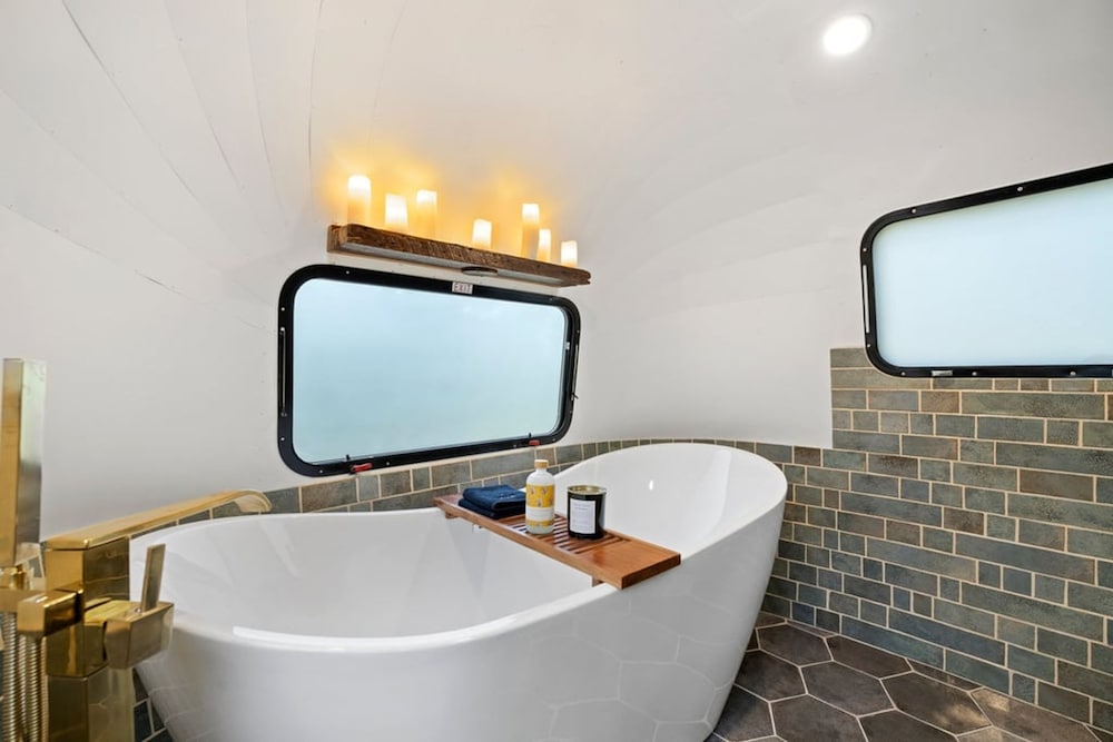 Royal Fern in Pisgah Forest in Brevard, United States