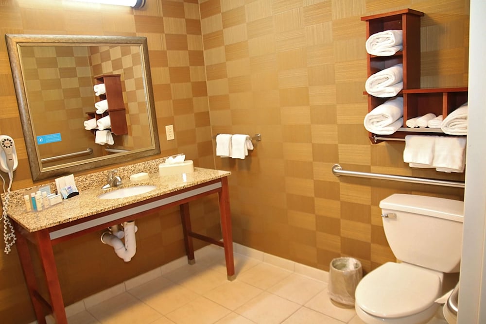 Hampton Inn Detroit Auburn Hills North - photo 33