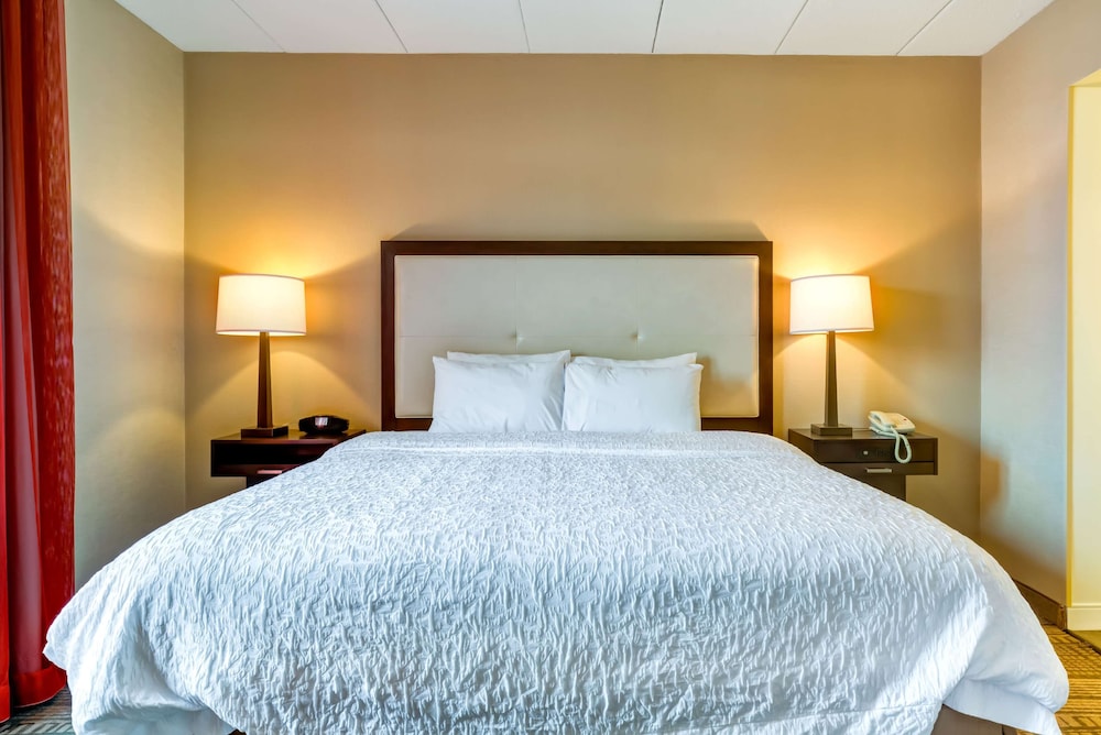 Hampton Inn Boston Norwood - photo 9