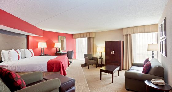 Holiday Inn Olathe Medical Center - photo 9