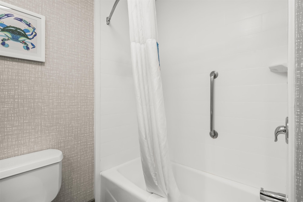 Hampton Inn Elkton - photo 22