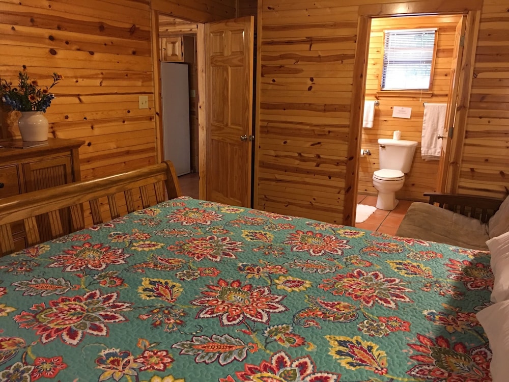 Frio Springs Lodges - photo 5