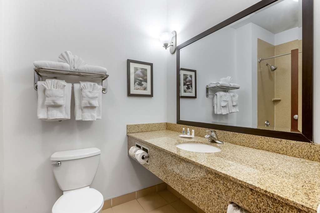 Comfort Suites Conference Center Rapid City - photo 9