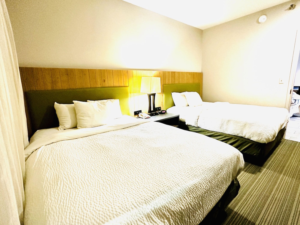 Radiant Inn & Suites - photo 4